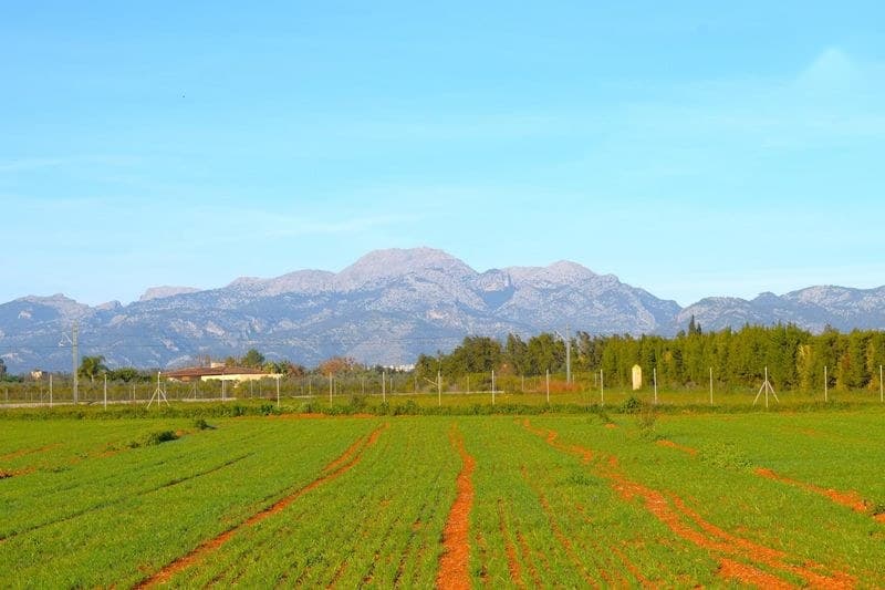 Vivienda en Baleares