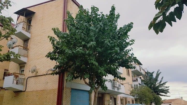 Vivienda en Murcia