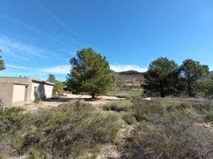 Vivienda en Alicante