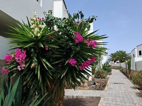 Casa/Chalet en Las Palmas