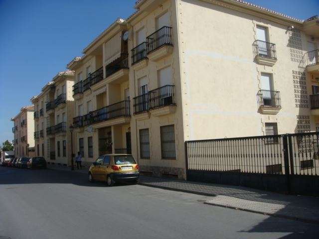 Piso en Granada (1/1)