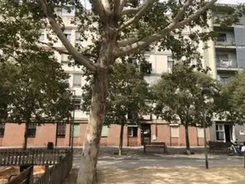 Piso en Barcelona (1/1)