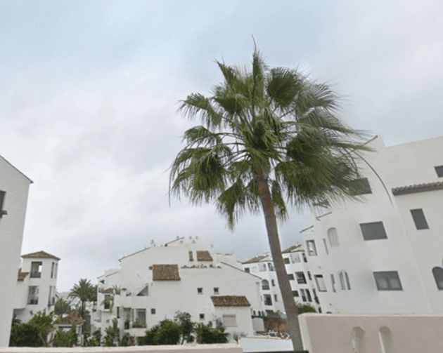 Apartment in Málaga (1/1)