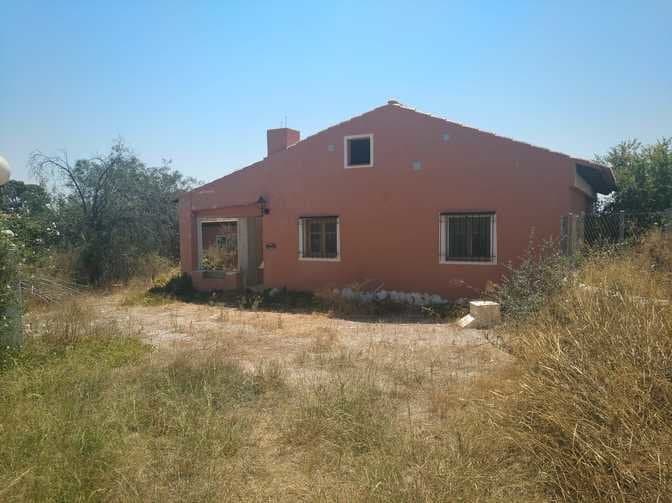 House in Alicante (1/1)
