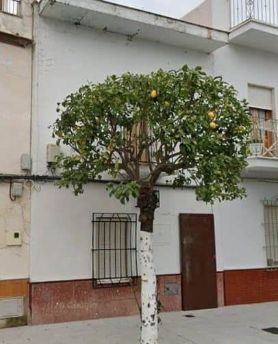 Casa/Chalet en Cádiz