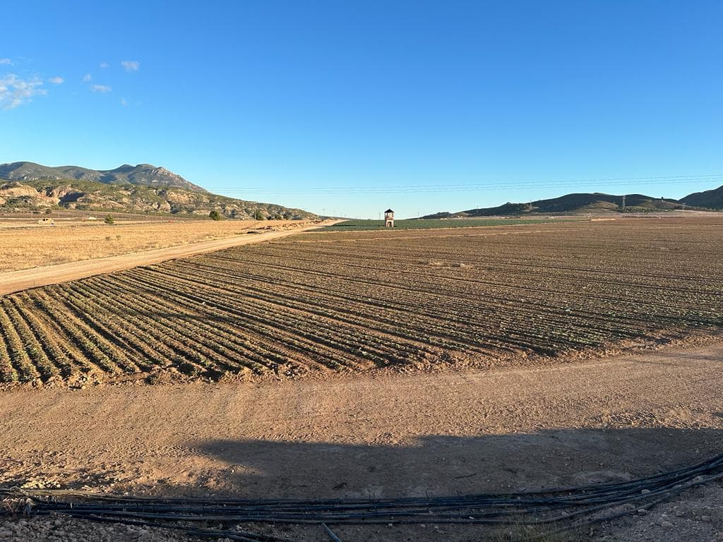 Piso en Murcia