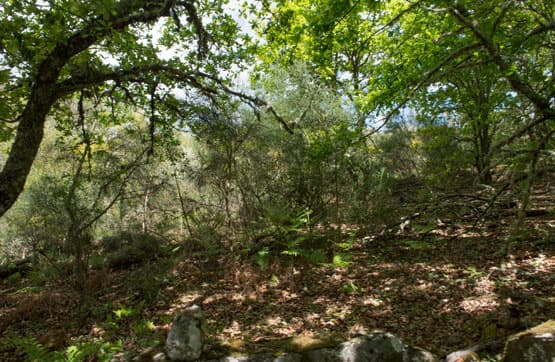 Casa/Chalet en Ourense